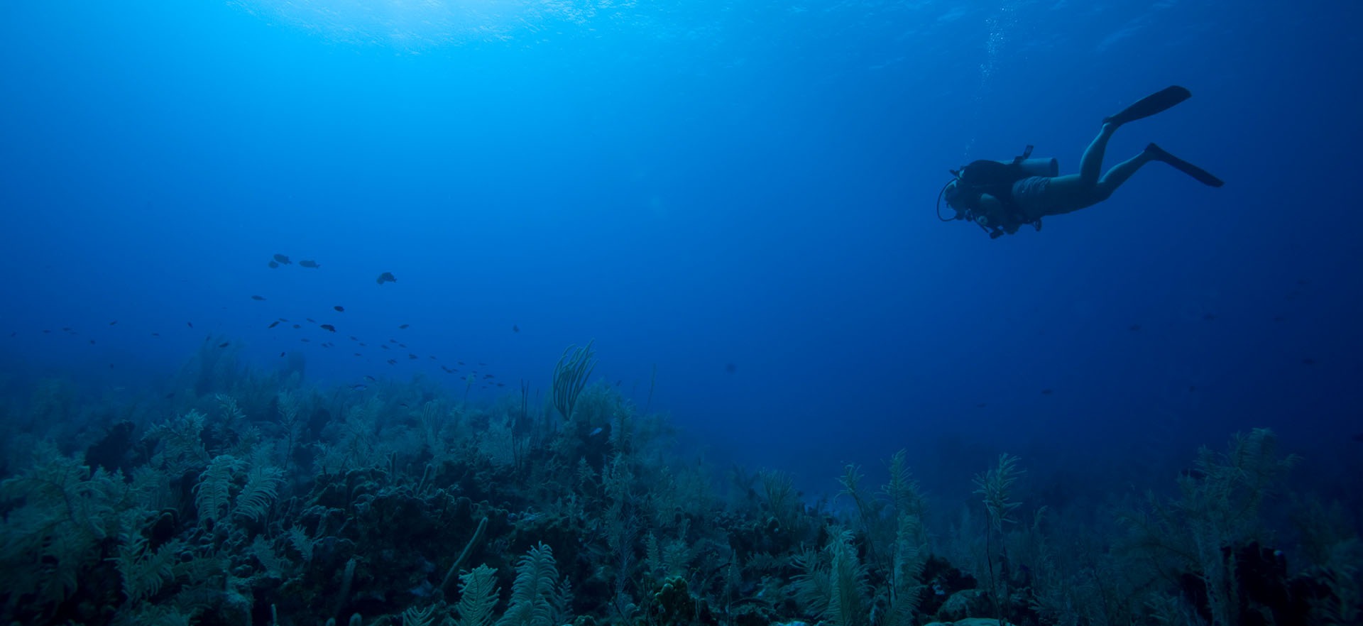 Scuba Diving Rethymno