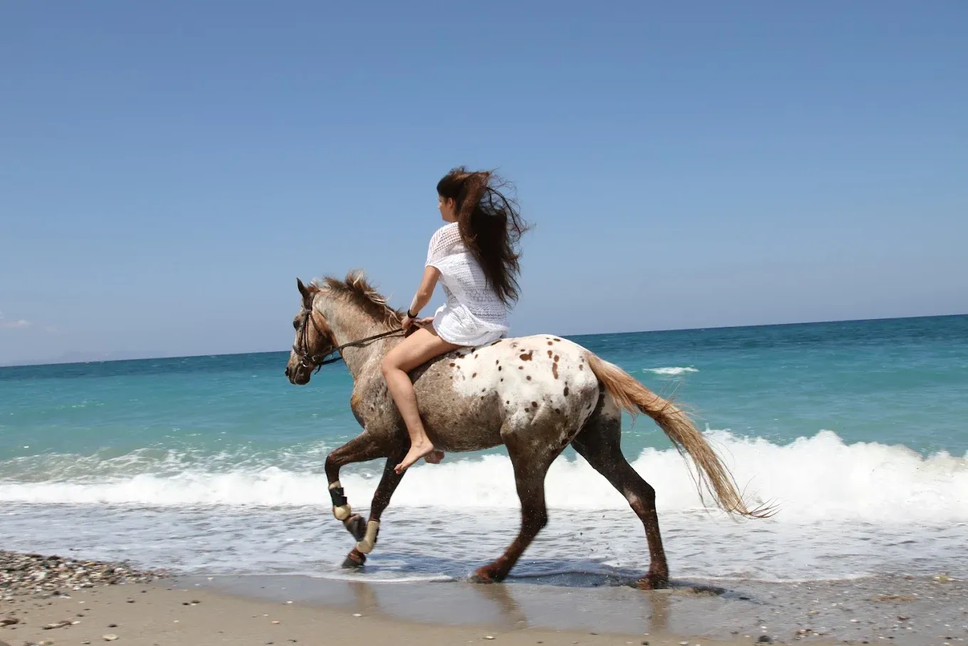 Horse Park Rethymnon